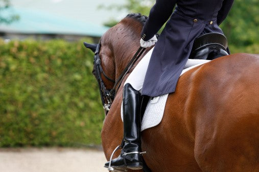 Dressage Fashion Trends and Styles We Think You Will Love!