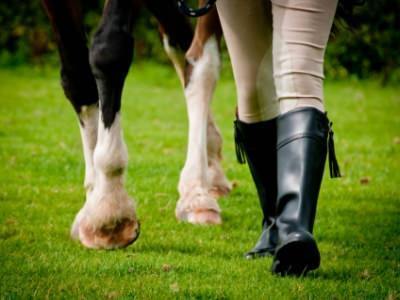 Mens Spanish Riding Boots