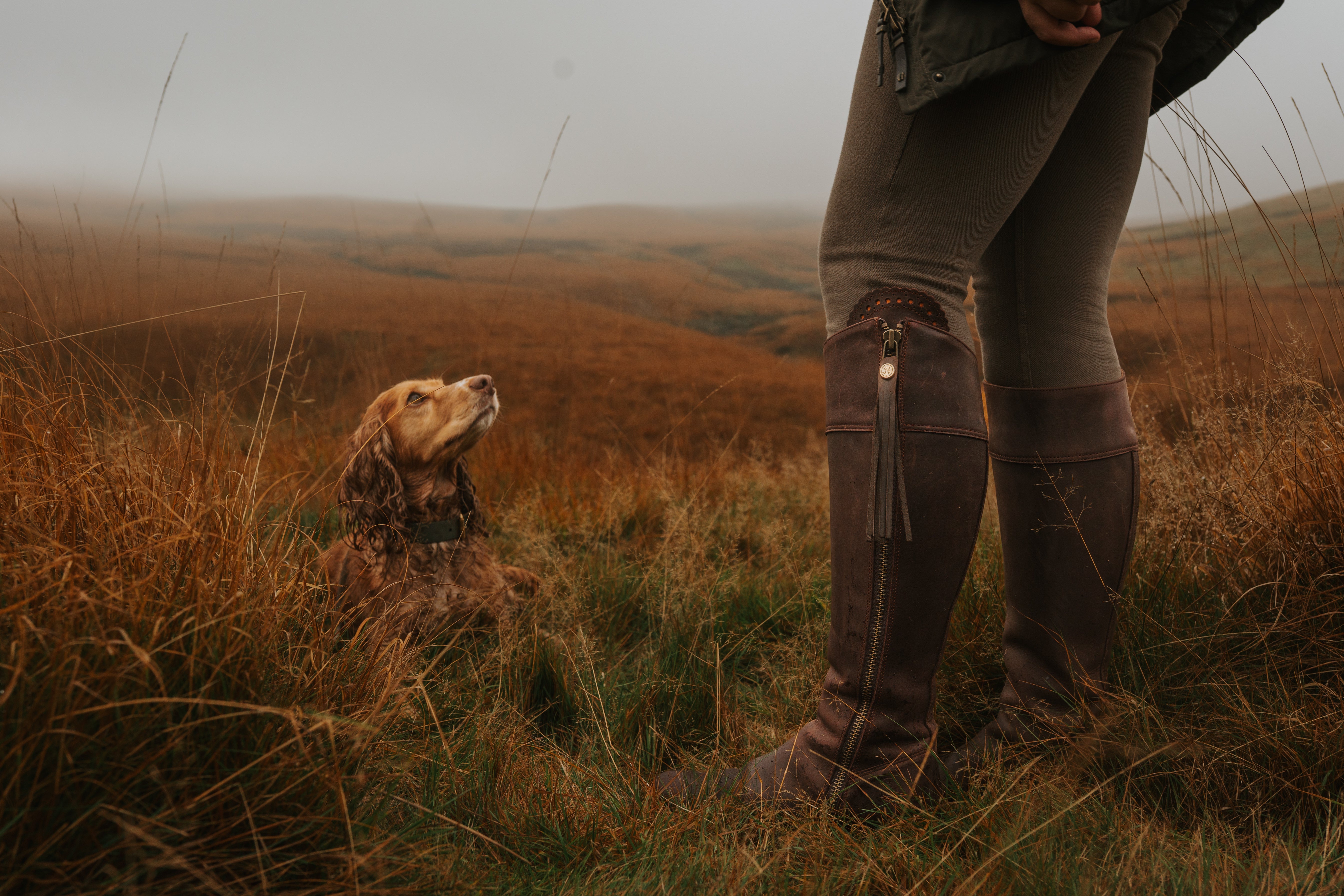 Brown Cascada with Tassel on autumn moors